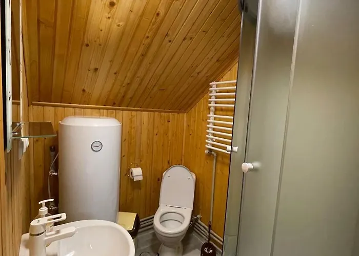 Lodge відпочинок у саманюків Mykulychyn